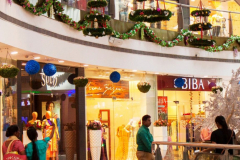 MG_4271-1-e1638003222320